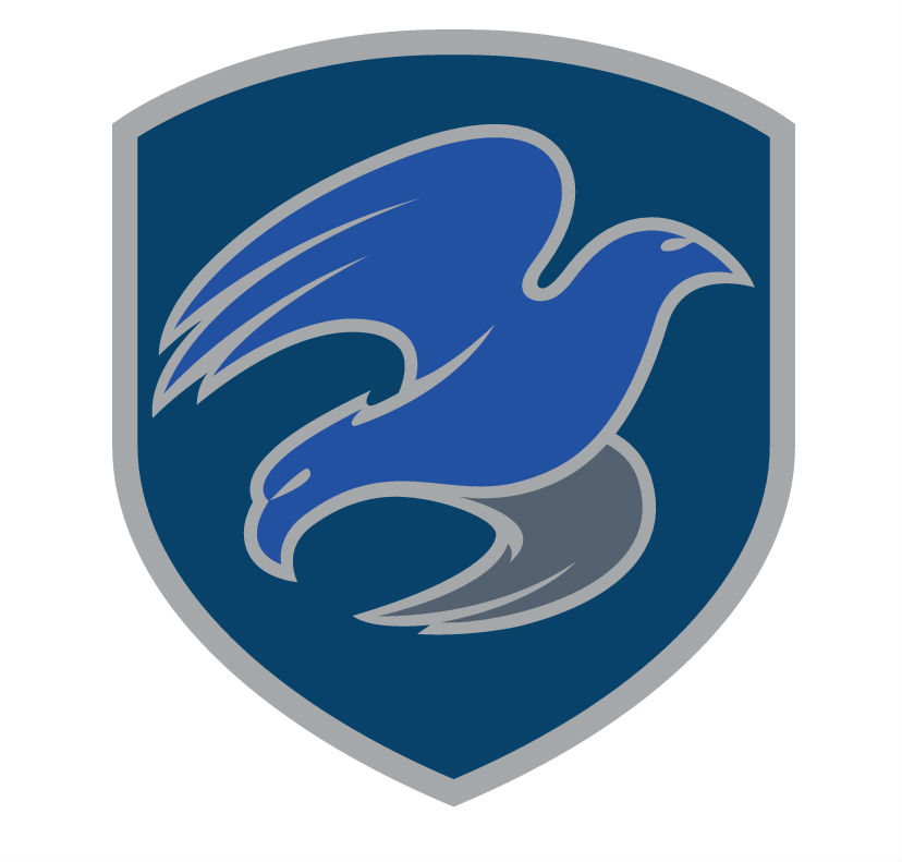 Code Fellows Project